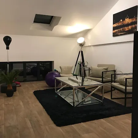 Dom wakacyjny Loft 90m2 Avec Chauffe Unique A Lyon